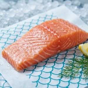 PE Coated Paper Sheets