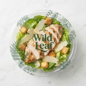 Food to Go Packaging